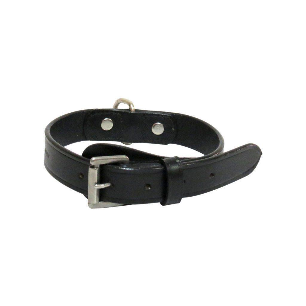 Dog Collar