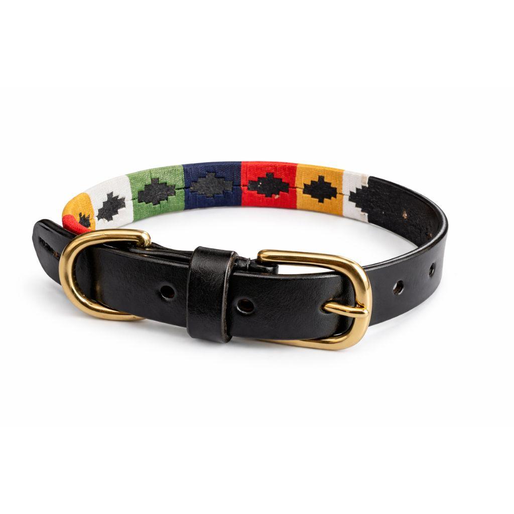 Pachranga Dog Collar