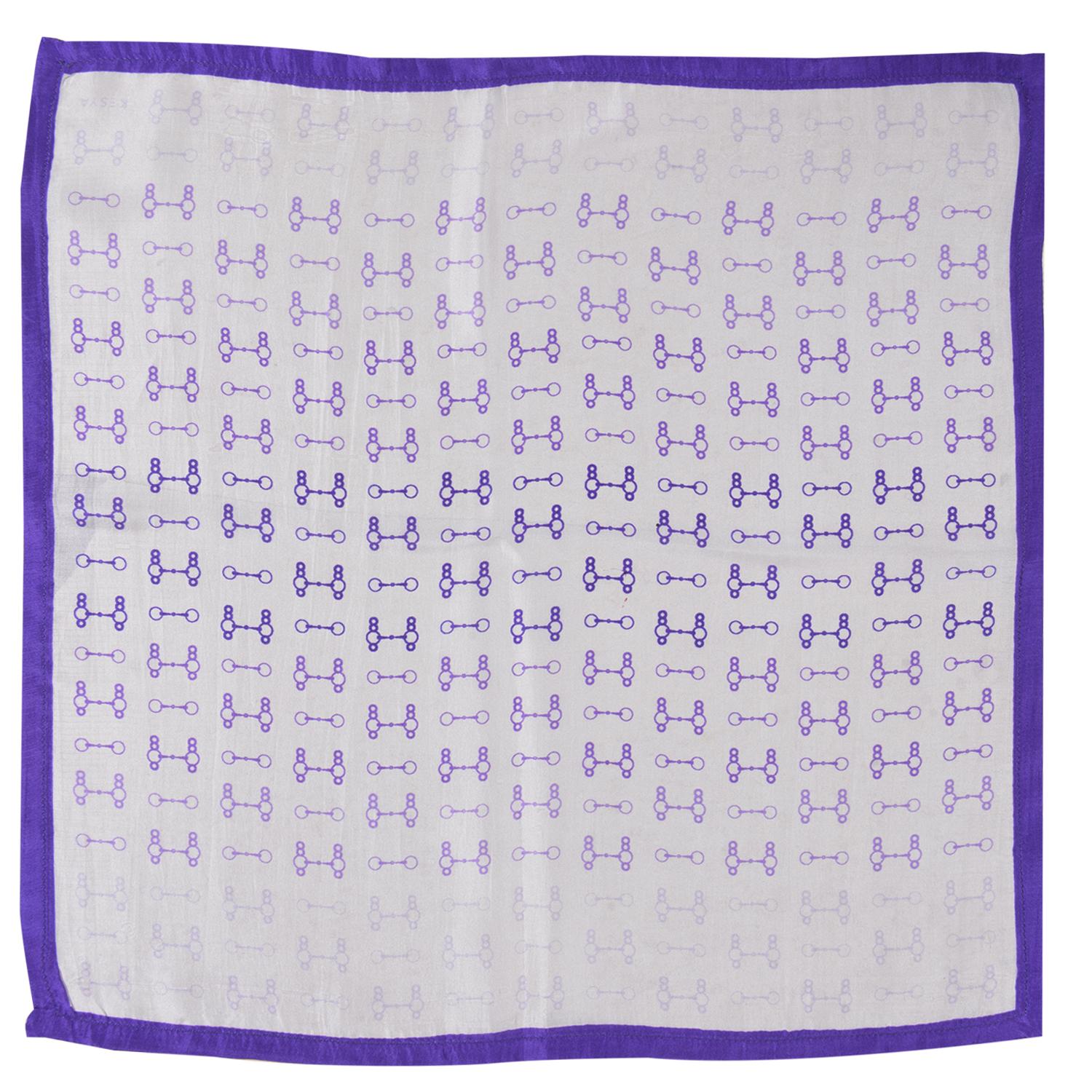 Purple Ombre Snaffle Pocket Square
